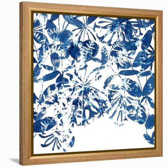 Honeysuckle-Cynthia MacCollum-Framed Stretched Canvas