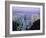 Hong Kong At Dawn-Damien Lovegrove-Framed Photographic Print