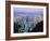 Hong Kong At Dawn-Damien Lovegrove-Framed Photographic Print