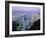 Hong Kong At Dawn-Damien Lovegrove-Framed Photographic Print