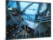 Premium Photographic Print