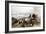 Hong Kong Harbour-Thomas Allom-Framed Art Print