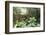 Hong Kong Park Aviary in Central, Hong Kong Island, Hong Kong, China, Asia-Fraser Hall-Framed Photographic Print