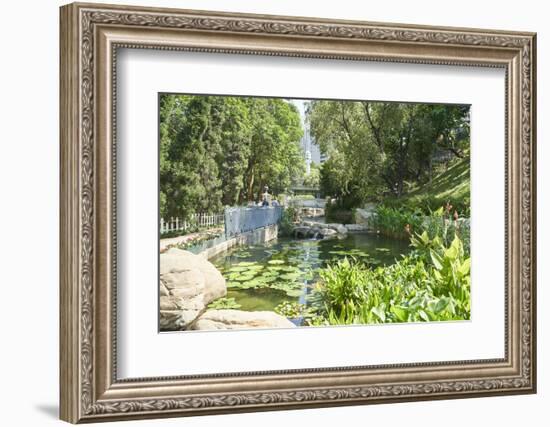 Hong Kong Park in Central, Hong Kong Island, Hong Kong, China, Asia-Fraser Hall-Framed Photographic Print