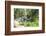 Hong Kong Park in Central, Hong Kong Island, Hong Kong, China, Asia-Fraser Hall-Framed Photographic Print