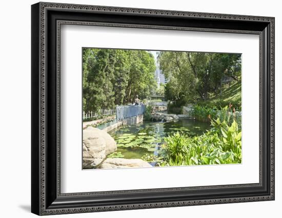 Hong Kong Park in Central, Hong Kong Island, Hong Kong, China, Asia-Fraser Hall-Framed Photographic Print