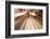 Hong Kong Tramways, China-Paul Souders-Framed Photographic Print