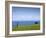 Honokaa, Hawaii - February 6, 2010: a Zen Moment Along the Hamakua Coast.-Ian Shive-Framed Photographic Print