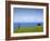 Honokaa, Hawaii - February 6, 2010: a Zen Moment Along the Hamakua Coast.-Ian Shive-Framed Photographic Print