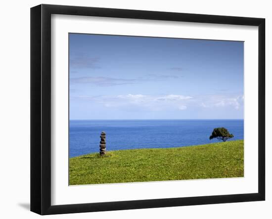 Honokaa, Hawaii - February 6, 2010: a Zen Moment Along the Hamakua Coast.-Ian Shive-Framed Photographic Print