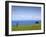 Honokaa, Hawaii - February 6, 2010: a Zen Moment Along the Hamakua Coast.-Ian Shive-Framed Photographic Print