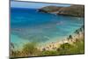 Honolulu, Hawaii, Oahu. Reef at Hanauma Bay coral from above snorkelers beach-Bill Bachmann-Mounted Photographic Print