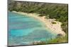 Honolulu, Hawaii, Oahu. Reef at Hanauma Bay coral from above snorkelers beach-Bill Bachmann-Mounted Photographic Print