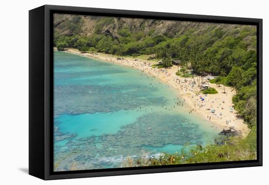 Honolulu, Hawaii, Oahu. Reef at Hanauma Bay coral from above snorkelers beach-Bill Bachmann-Framed Premier Image Canvas