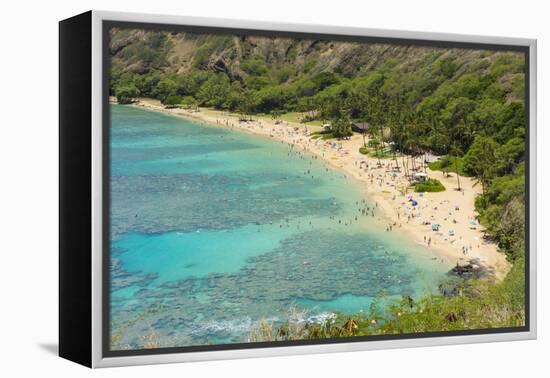 Honolulu, Hawaii, Oahu. Reef at Hanauma Bay coral from above snorkelers beach-Bill Bachmann-Framed Premier Image Canvas