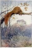 Squirrel in Tree C1917-Honor C. Appleton-Premium Giclee Print