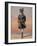 Honorary Native Commandment Nawab Sir Hafiz Muhammad Abdullah Khan, Kcie, I-Alfred Crowdy Lovett-Framed Giclee Print