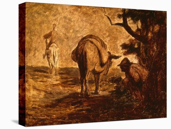 Stretched Canvas Print, , large