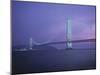 Honshu-Shikoku Bridge, Nr. Kobe, Japan-Demetrio Carrasco-Mounted Photographic Print