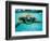 Honu, Hawaiian Sea Turtle-Kirk Lee Aeder-Framed Art Print