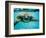 Honu, Hawaiian Sea Turtle-Kirk Lee Aeder-Framed Art Print