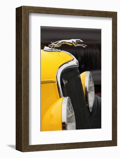 Hood ornament on classic street rod, Street Rod Nationals, Louisville, Kentucky-Adam Jones-Framed Photographic Print