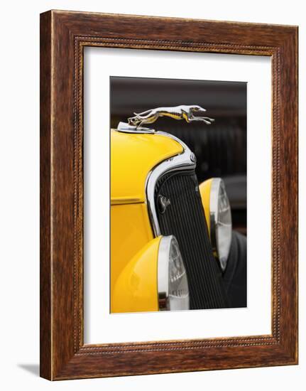 Hood ornament on classic street rod, Street Rod Nationals, Louisville, Kentucky-Adam Jones-Framed Photographic Print