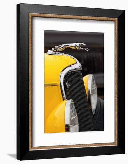 Hood ornament on classic street rod, Street Rod Nationals, Louisville, Kentucky-Adam Jones-Framed Photographic Print