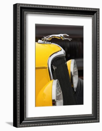 Hood ornament on classic street rod, Street Rod Nationals, Louisville, Kentucky-Adam Jones-Framed Photographic Print