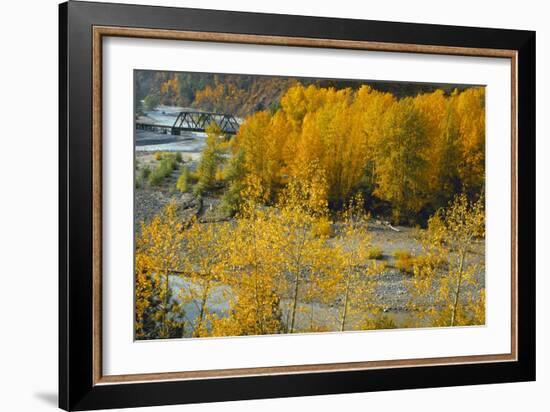 Hood River RR Bridge-Ike Leahy-Framed Photographic Print