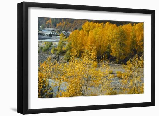 Hood River RR Bridge-Ike Leahy-Framed Photographic Print