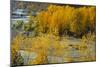 Hood River RR Bridge-Ike Leahy-Mounted Photographic Print