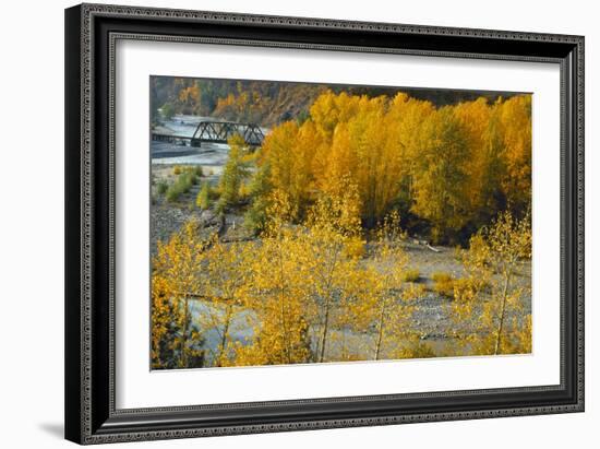 Hood River RR Bridge-Ike Leahy-Framed Photographic Print