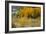 Hood River RR Bridge-Ike Leahy-Framed Photographic Print