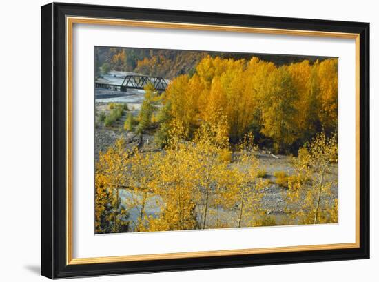 Hood River RR Bridge-Ike Leahy-Framed Photographic Print