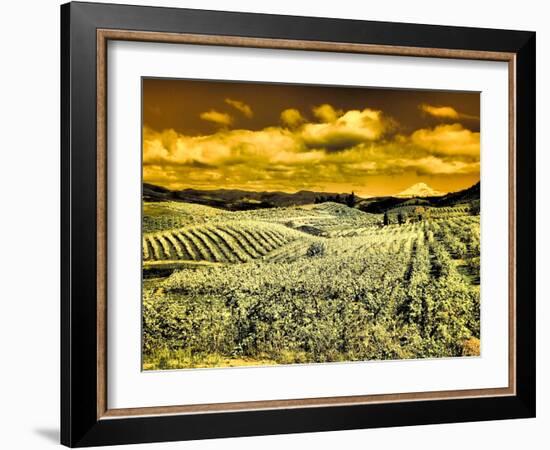 Hood River Valley, Mount Rainier.-Terry Eggers-Framed Photographic Print