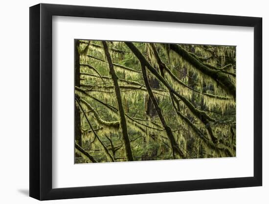 Hood River-Art Wolfe-Framed Photographic Print