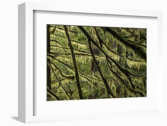 Hood River-Art Wolfe-Framed Photographic Print