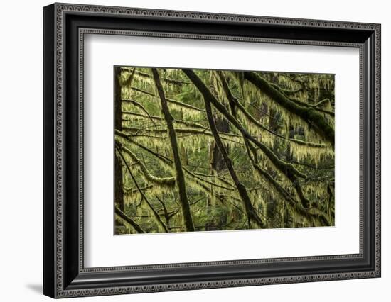 Hood River-Art Wolfe-Framed Photographic Print