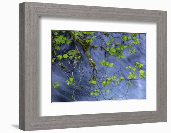 Hood River-Art Wolfe-Framed Photographic Print