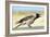 Hooded Crow Calling-null-Framed Photographic Print