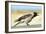 Hooded Crow Calling-null-Framed Photographic Print