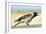 Hooded Crow Calling-null-Framed Photographic Print