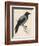 Hooded Crow-null-Framed Premium Giclee Print