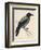 Hooded Crow-null-Framed Premium Giclee Print