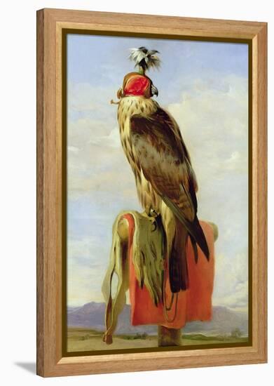 Hooded Falcon-Edwin Henry Landseer-Framed Premier Image Canvas