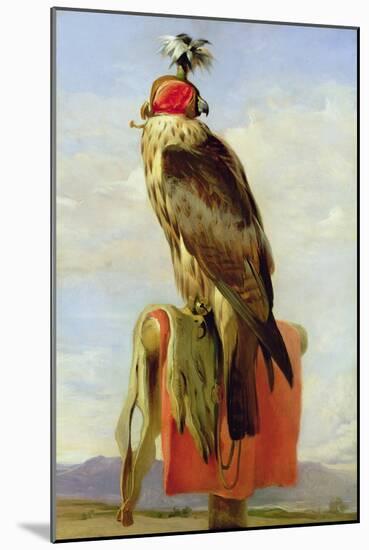 Hooded Falcon-Edwin Henry Landseer-Mounted Giclee Print