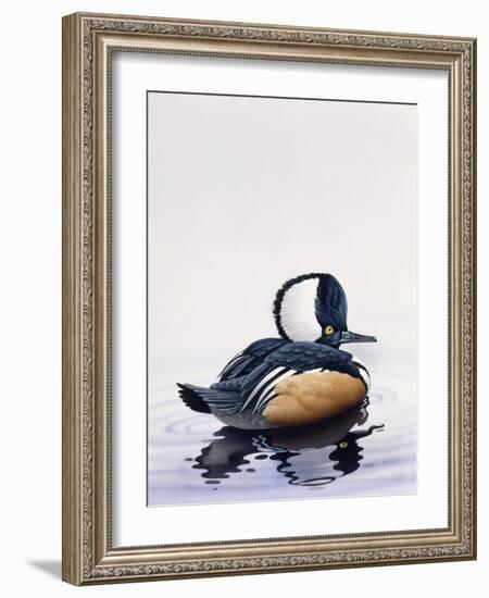 Hooded Merganser-Harro Maass-Framed Giclee Print