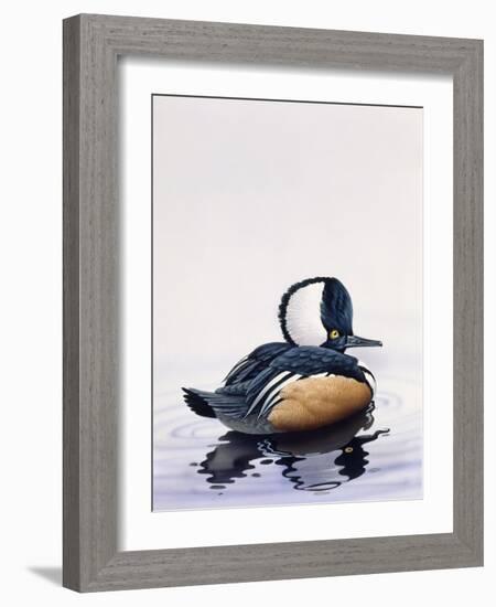 Hooded Merganser-Harro Maass-Framed Giclee Print