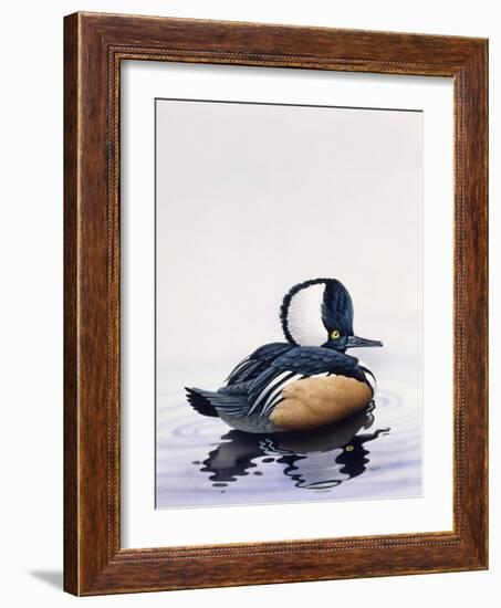 Hooded Merganser-Harro Maass-Framed Giclee Print